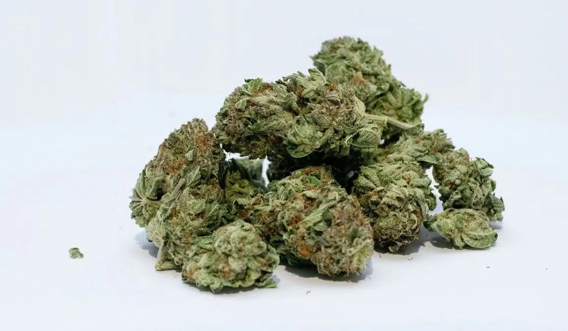 Amnesia