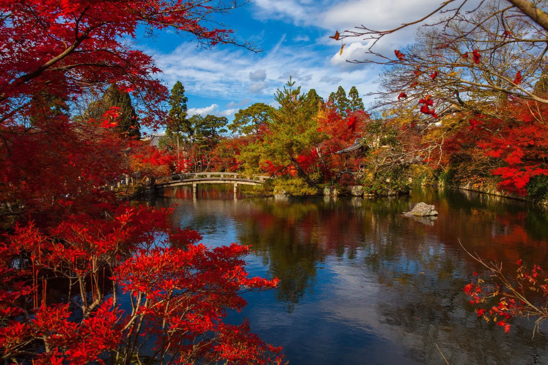 voyage au Japon