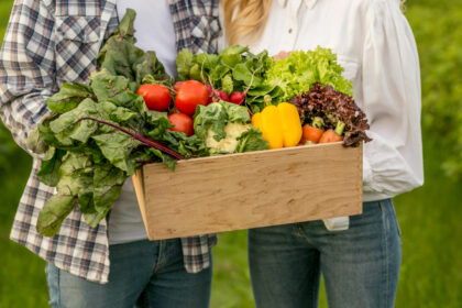 Favoriser une alimentation durable grâce à l’agriculture locale : leviers et enjeux